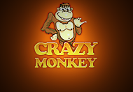 Crazy Monkey